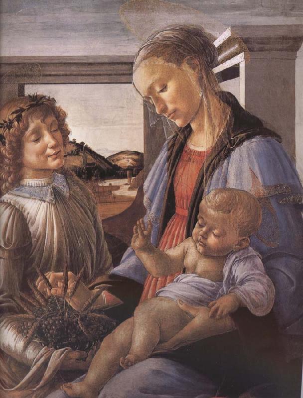 Sandro Botticelli Our Lady of the Son and the Angels oil painting image